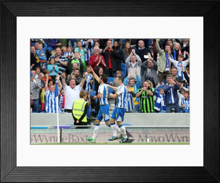 Framed Print : Brighton & Hove Albion vs. Bolton Wanderers (Spanish Day): 21-09-2013 - Home Game, Season 2013-14 Framed Print : Brighton & Hove Albion vs. Bolton Wanderers (Spanish Day): 21-09-2013 - Home Game, Season 2013-14