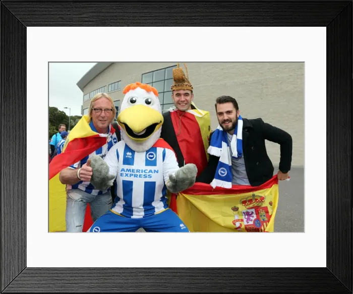 Framed Print : Brighton & Hove Albion's Spanish Day Celebration: Fans Dress Up at Amex Stadium vs Bolton Wanderers (September 21, 2013)