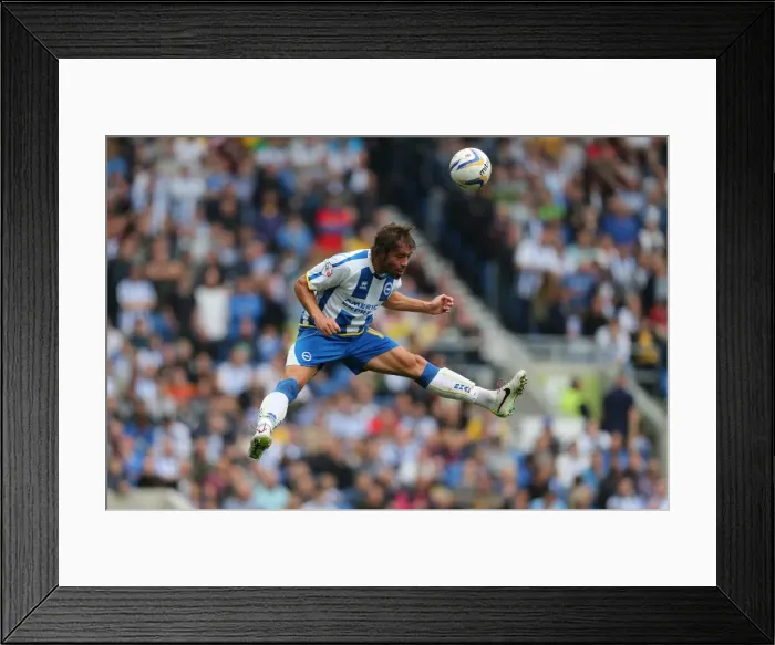 Framed Print : Inigo Calderon Leaps High: Brighton & Hove Albion vs. Bolton Wanderers, September 21, 2013 Framed Print : Inigo Calderon Leaps High: Brighton & Hove Albion vs. Bolton Wanderers, September 21, 2013