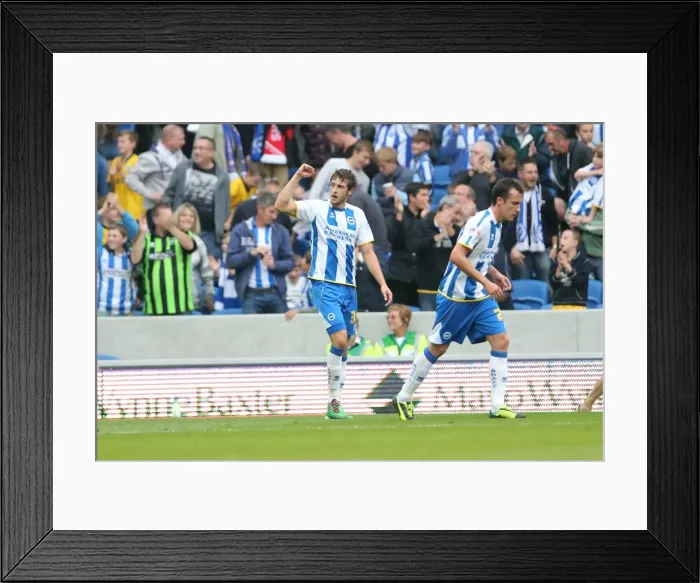 Framed Print : Brighton & Hove Albion's Will Buckley Scores Thrilling Third Goal Against Bolton Wanderers in Skybet Championship 2013 Framed Print : Brighton & Hove Albion's Will Buckley Scores Thrilling Third Goal Against Bolton Wanderers in Skybet Championship 2013