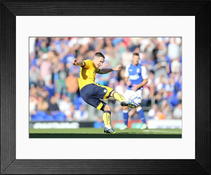 Framed Print : Brighton & Hove Albion vs. Ipswich Town: 2013-14 Season Away Game