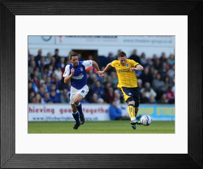 Framed Print : Brighton & Hove Albion vs. Ipswich Town: Away Game - September 28, 2013