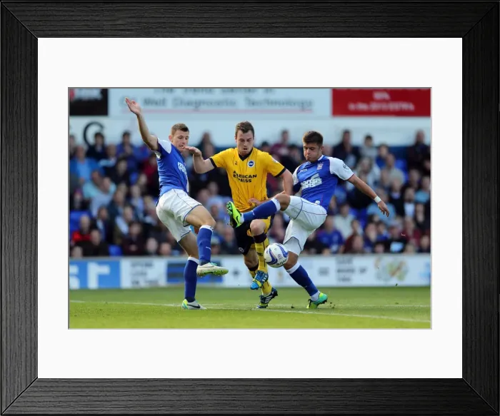 Framed Print : Brighton & Hove Albion vs. Ipswich Town: 2013-14 Away Game