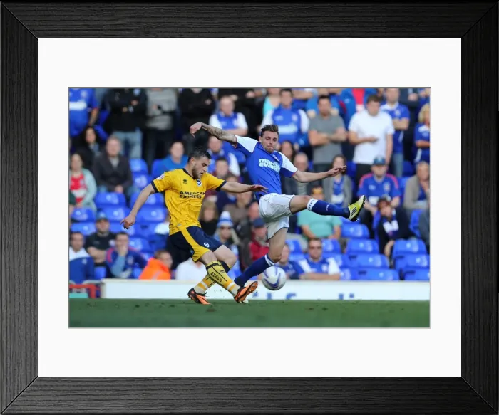 Framed Print : Brighton & Hove Albion vs. Ipswich Town: 2013-14 Away Game