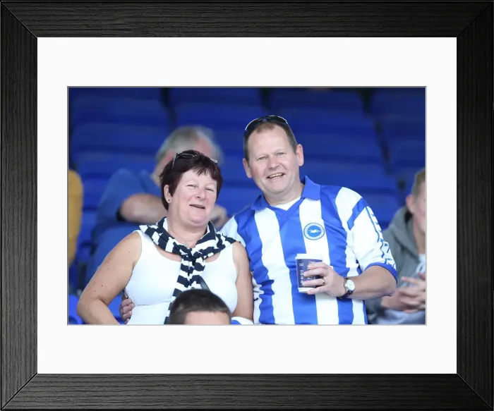 Framed Print : Brighton and Hove Albion Away Days 2013-14: Electric Atmosphere at Ipswich Town (September 28) Framed Print : Brighton and Hove Albion Away Days 2013-14: Electric Atmosphere at Ipswich Town (September 28)