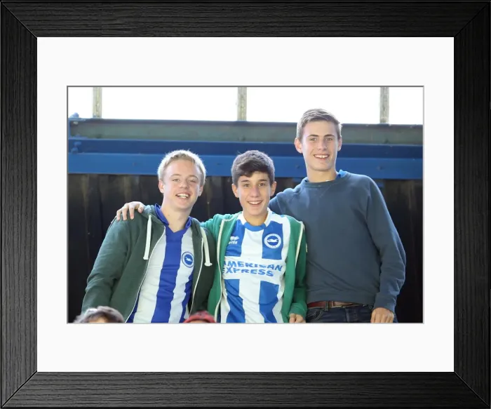 Framed Print : Brighton and Hove Albion Away Days 2013-14: Electric Atmosphere at Ipswich Town (September 28, 2013) Framed Print : Brighton and Hove Albion Away Days 2013-14: Electric Atmosphere at Ipswich Town (September 28, 2013)