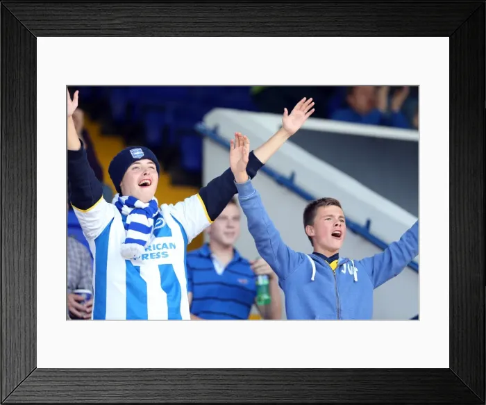 Framed Print : Brighton and Hove Albion Away Days 2013-14: Electric Atmosphere - Ipswich Town: Crowd Shots Framed Print : Brighton and Hove Albion Away Days 2013-14: Electric Atmosphere - Ipswich Town: Crowd Shots