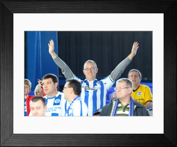 Framed Print : Brighton & Hove Albion vs. Ipswich Town: Away Game - September 28, 2013
