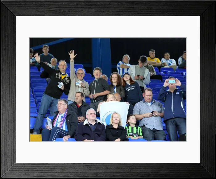 Framed Print : Brighton & Hove Albion vs. Ipswich Town: Away Game - September 28, 2013