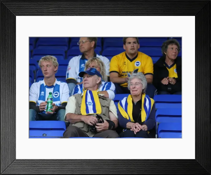 Framed Print : Sea of Supporters: Brighton & Hove Albion Away Day at Ipswich Town (2013-14) - Crowd Shots Framed Print : Sea of Supporters: Brighton & Hove Albion Away Day at Ipswich Town (2013-14) - Crowd Shots