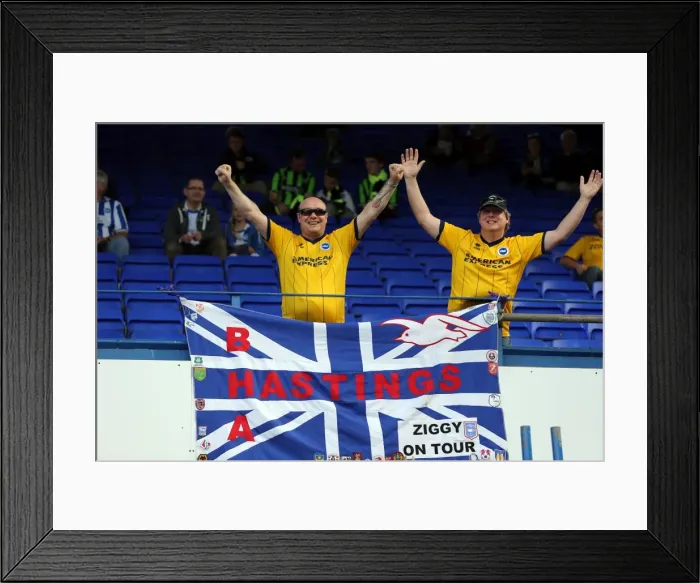 Framed Print : Sea of Seagulls: Brighton and Hove Albion Away Days 2013-14 (Ipswich Town, September 28) Framed Print : Sea of Seagulls: Brighton and Hove Albion Away Days 2013-14 (Ipswich Town, September 28)