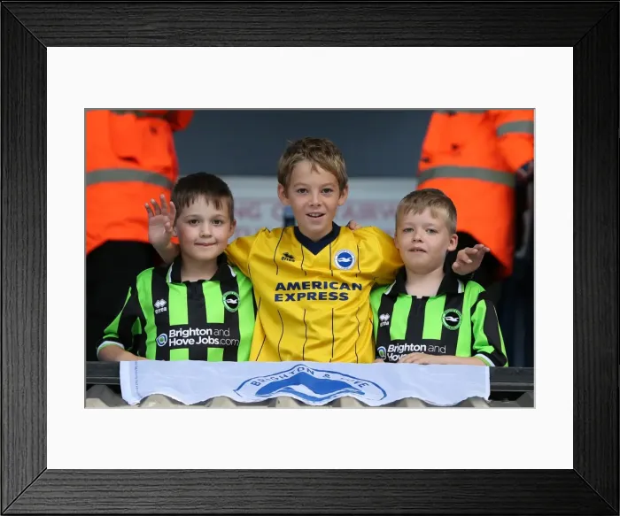 Framed Print : Brighton & Hove Albion vs. Ipswich Town: Away Game - September 28, 2013