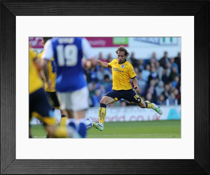 Framed Print : Brighton & Hove Albion vs. Ipswich Town: Away Game - September 28, 2013