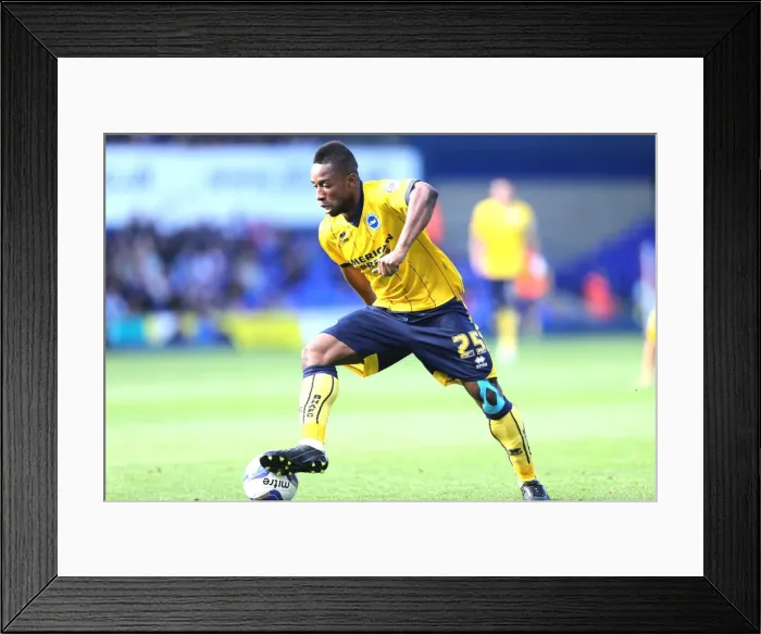 Framed Print : Brighton & Hove Albion vs. Ipswich Town: 2013-14 Away Game (September 28)