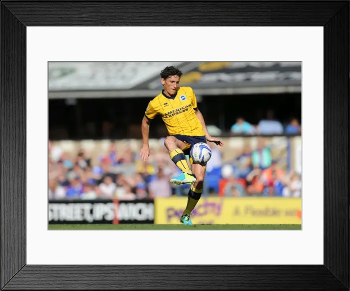 Framed Print : Brighton & Hove Albion vs. Ipswich Town: 2013-14 Away Game - September 28