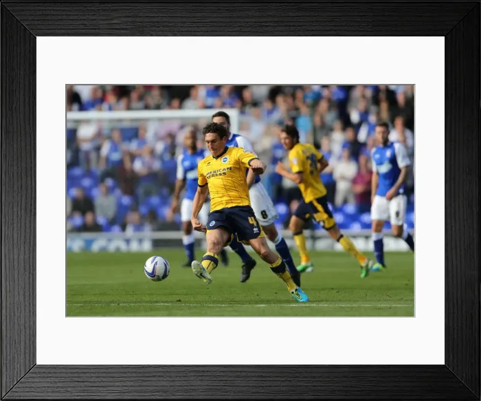 Framed Print : Brighton & Hove Albion vs. Ipswich Town: 2013-14 Season Away Game Highlights (September 28) Framed Print : Brighton & Hove Albion vs. Ipswich Town: 2013-14 Season Away Game Highlights (September 28)