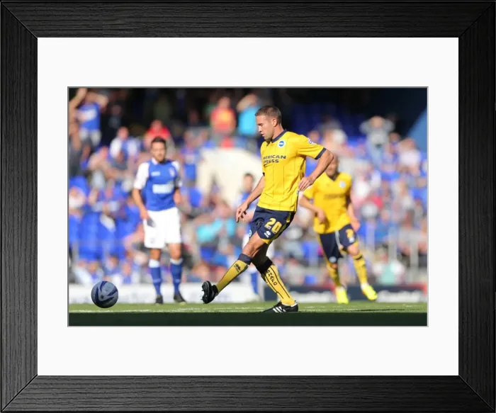 Framed Print : Brighton & Hove Albion vs. Ipswich Town: Away Game (September 28, 2013)