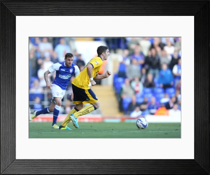 Framed Print : Brighton & Hove Albion vs. Ipswich Town: Away Game (September 2013) Framed Print : Brighton & Hove Albion vs. Ipswich Town: Away Game (September 2013)