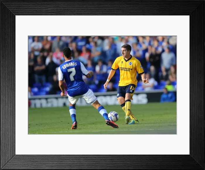 Framed Print : Brighton & Hove Albion vs. Ipswich Town: 2013-14 Away Game Framed Print : Brighton & Hove Albion vs. Ipswich Town: 2013-14 Away Game