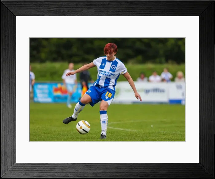 Framed Print : Battle in the 2013-14 Women's Football Season: Brighton & Hove Albion vs. West Ham United Framed Print : Battle in the 2013-14 Women's Football Season: Brighton & Hove Albion vs. West Ham United