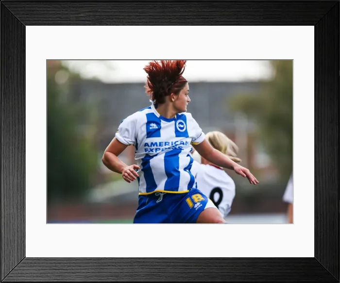 Framed Print : Brighton & Hove Albion vs. West Ham United: 2013-14 Women's Football Match Framed Print : Brighton & Hove Albion vs. West Ham United: 2013-14 Women's Football Match