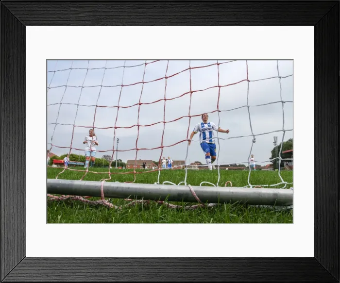 Framed Print : Brighton & Hove Albion vs. West Ham United: 2013-14 Women's Football Match