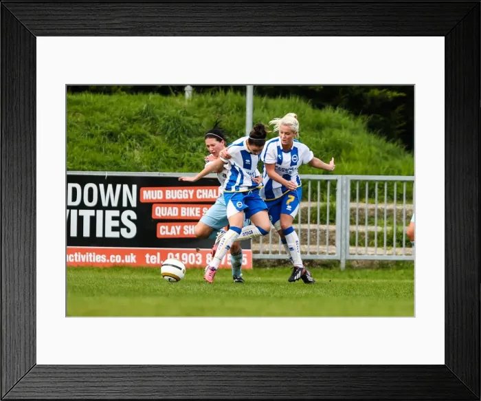 Framed Print : Thrilling Battle: Brighton & Hove Albion vs. West Ham United - Women's Football Match, 2013-14 Season Framed Print : Thrilling Battle: Brighton & Hove Albion vs. West Ham United - Women's Football Match, 2013-14 Season