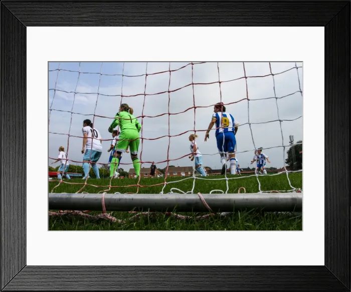 Framed Print : Brighton & Hove Albion vs. West Ham United: 2013-14 Women's Football Match Framed Print : Brighton & Hove Albion vs. West Ham United: 2013-14 Women's Football Match