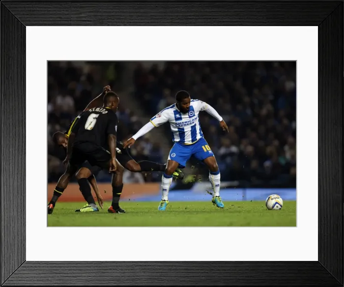 Framed Print : Brighton & Hove Albion vs. Sheffield Wednesday (1-10-2013): A Home Game from the 2013-14 Season Framed Print : Brighton & Hove Albion vs. Sheffield Wednesday (1-10-2013): A Home Game from the 2013-14 Season