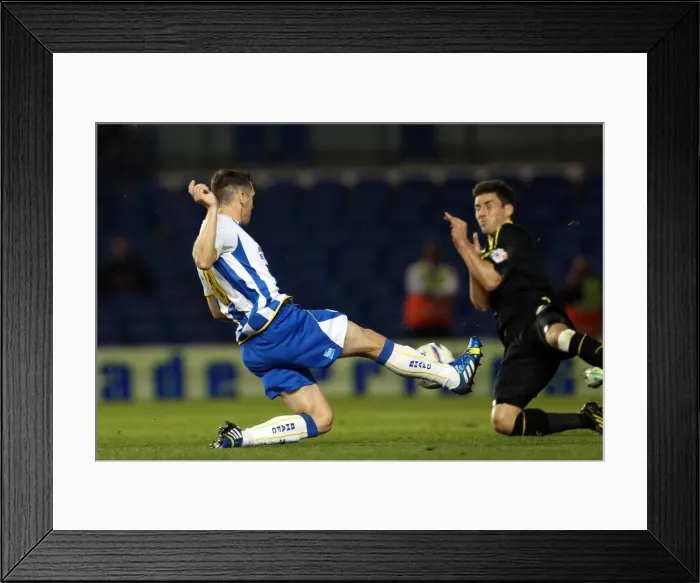 Framed Print : Brighton & Hove Albion vs. Sheffield Wednesday (2013-10-01) - Home Game from the 2013-14 Season Framed Print : Brighton & Hove Albion vs. Sheffield Wednesday (2013-10-01) - Home Game from the 2013-14 Season
