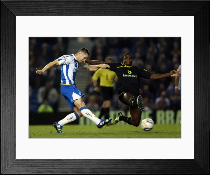 Framed Print : Brighton & Hove Albion vs. Sheffield Wednesday (Home Game - 01-10-2013) Framed Print : Brighton & Hove Albion vs. Sheffield Wednesday (Home Game - 01-10-2013)