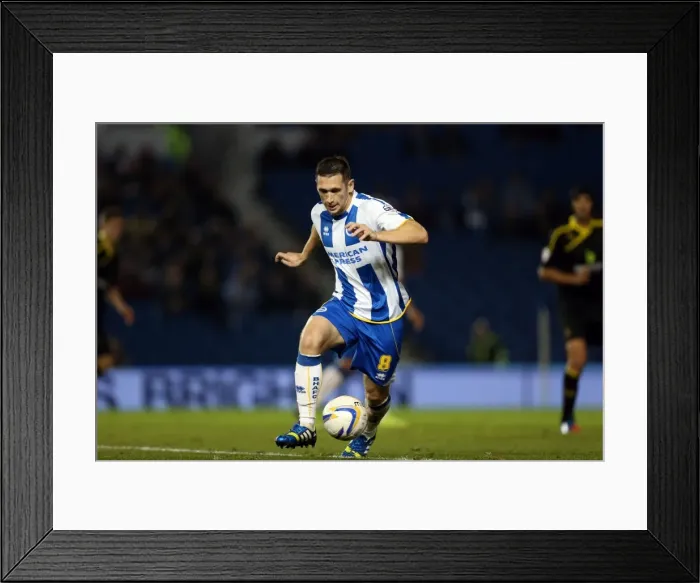 Framed Print : Brighton & Hove Albion vs. Sheffield Wednesday (2013-10-01) - Home Game, 2013-14 Season Framed Print : Brighton & Hove Albion vs. Sheffield Wednesday (2013-10-01) - Home Game, 2013-14 Season
