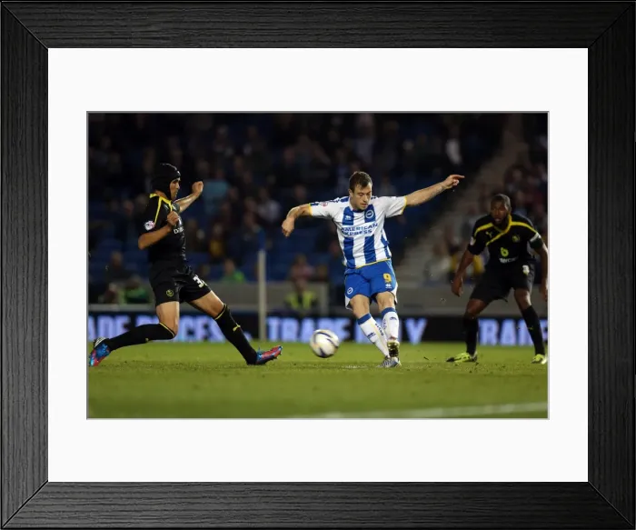 Framed Print : Brighton & Hove Albion vs. Sheffield Wednesday (2013-10-01) - Home Game, 2013-14 Season Framed Print : Brighton & Hove Albion vs. Sheffield Wednesday (2013-10-01) - Home Game, 2013-14 Season