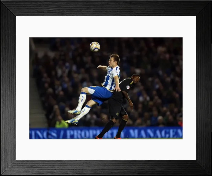 Framed Print : Brighton & Hove Albion vs. Sheffield Wednesday (2013-10-01) - Home Game from the 2013-14 Season Framed Print : Brighton & Hove Albion vs. Sheffield Wednesday (2013-10-01) - Home Game from the 2013-14 Season