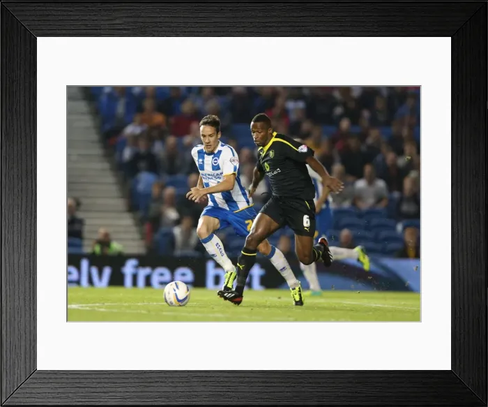 Framed Print : Brighton & Hove Albion vs. Sheffield Wednesday (2013-10-01) - Home Game, 2013-14 Season Framed Print : Brighton & Hove Albion vs. Sheffield Wednesday (2013-10-01) - Home Game, 2013-14 Season