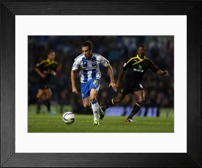 Framed Print : Brighton & Hove Albion vs. Sheffield Wednesday (2013-14): Home Game Highlights (1-10-2013) Framed Print : Brighton & Hove Albion vs. Sheffield Wednesday (2013-14): Home Game Highlights (1-10-2013)