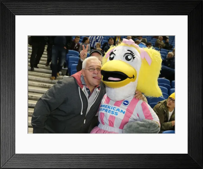 Framed Print : Brighton & Hove Albion vs. Sheffield Wednesday (2013-10-01): A Home Game from the 2013-14 Season Framed Print : Brighton & Hove Albion vs. Sheffield Wednesday (2013-10-01): A Home Game from the 2013-14 Season