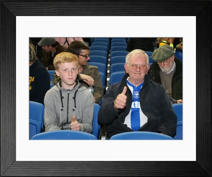 Framed Print : Brighton & Hove Albion vs. Sheffield Wednesday (1-10-2013) - 2013-14 Home Game Framed Print : Brighton & Hove Albion vs. Sheffield Wednesday (1-10-2013) - 2013-14 Home Game