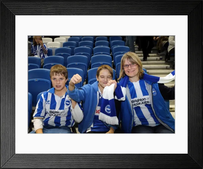 Framed Print : Brighton & Hove Albion vs. Sheffield Wednesday (2013-10-01) - Home Game from the 2013-14 Season Framed Print : Brighton & Hove Albion vs. Sheffield Wednesday (2013-10-01) - Home Game from the 2013-14 Season