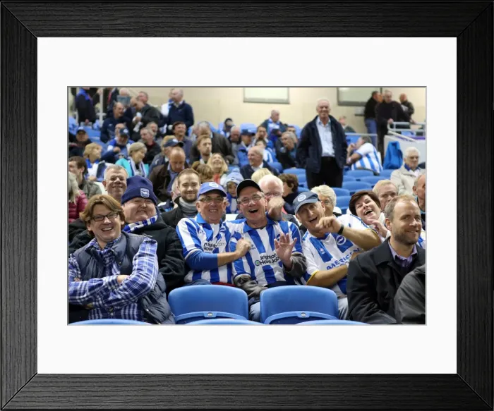 Framed Print : Brighton & Hove Albion vs. Sheffield Wednesday (01-10-2013): 2013-14 Home Game Framed Print : Brighton & Hove Albion vs. Sheffield Wednesday (01-10-2013): 2013-14 Home Game