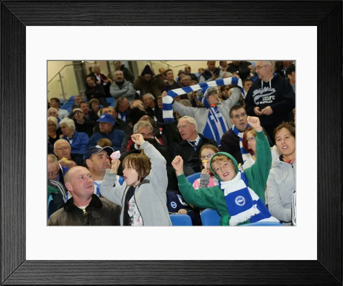 Framed Print : Brighton & Hove Albion vs. Sheffield Wednesday (2013-10-01) - Home Game, 2013-14 Season Framed Print : Brighton & Hove Albion vs. Sheffield Wednesday (2013-10-01) - Home Game, 2013-14 Season