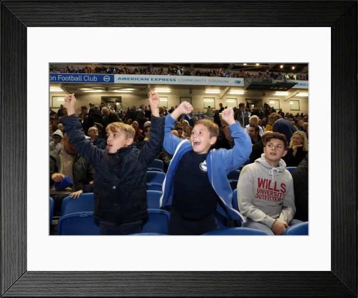 Framed Print : Brighton & Hove Albion vs. Sheffield Wednesday (2013-10-01) - Home Game from the 2013-14 Season Framed Print : Brighton & Hove Albion vs. Sheffield Wednesday (2013-10-01) - Home Game from the 2013-14 Season