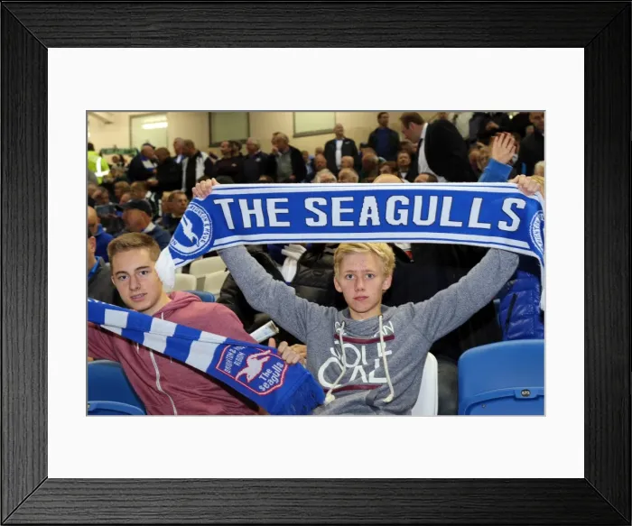 Framed Print : Electric Atmosphere: Brighton & Hove Albion FC Fans at Amex Stadium (2013-14 Season: Sheffield Wednesday Game) Framed Print : Electric Atmosphere: Brighton & Hove Albion FC Fans at Amex Stadium (2013-14 Season: Sheffield Wednesday Game)