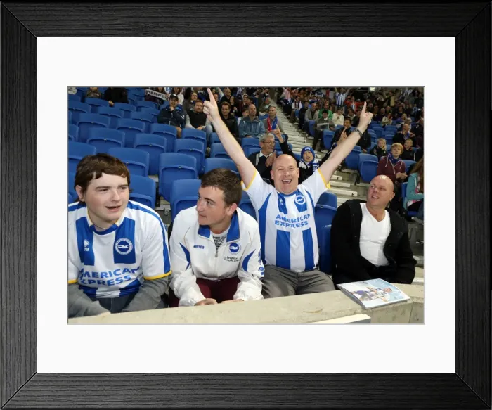 Framed Print : Brighton & Hove Albion vs. Sheffield Wednesday (2013-14): Home Game Highlights Framed Print : Brighton & Hove Albion vs. Sheffield Wednesday (2013-14): Home Game Highlights