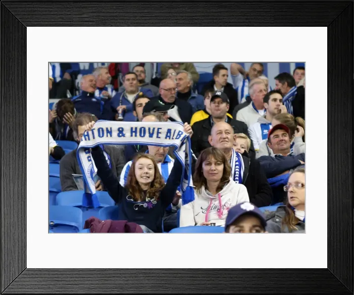 Framed Print : Brighton & Hove Albion vs. Sheffield Wednesday (2013-10-01) - Home Game, 2013-14 Season Framed Print : Brighton & Hove Albion vs. Sheffield Wednesday (2013-10-01) - Home Game, 2013-14 Season