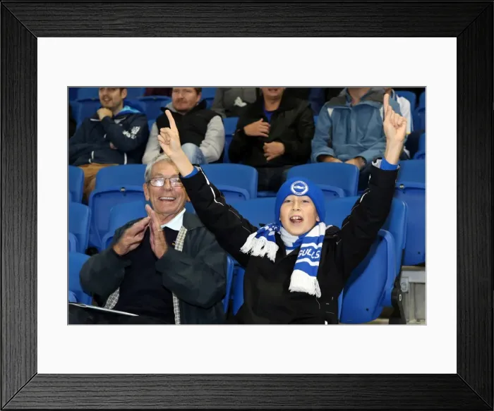 Framed Print : Brighton & Hove Albion vs. Sheffield Wednesday: A Home Battle (2013-14 Season) Framed Print : Brighton & Hove Albion vs. Sheffield Wednesday: A Home Battle (2013-14 Season)