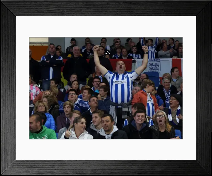 Framed Print : Brighton & Hove Albion vs. Sheffield Wednesday (2013-14): Home Game Highlights - October 1, 2013 Framed Print : Brighton & Hove Albion vs. Sheffield Wednesday (2013-14): Home Game Highlights - October 1, 2013