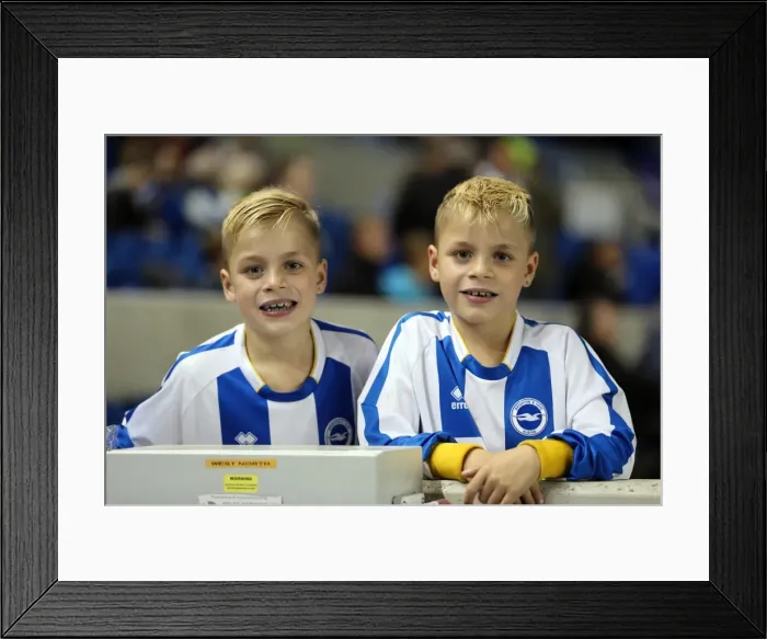 Framed Print : Brighton & Hove Albion: Electric Atmosphere - Crowd Shots from the Amex (2013-14) (Sheffield Wednesday Game) Framed Print : Brighton & Hove Albion: Electric Atmosphere - Crowd Shots from the Amex (2013-14) (Sheffield Wednesday Game)