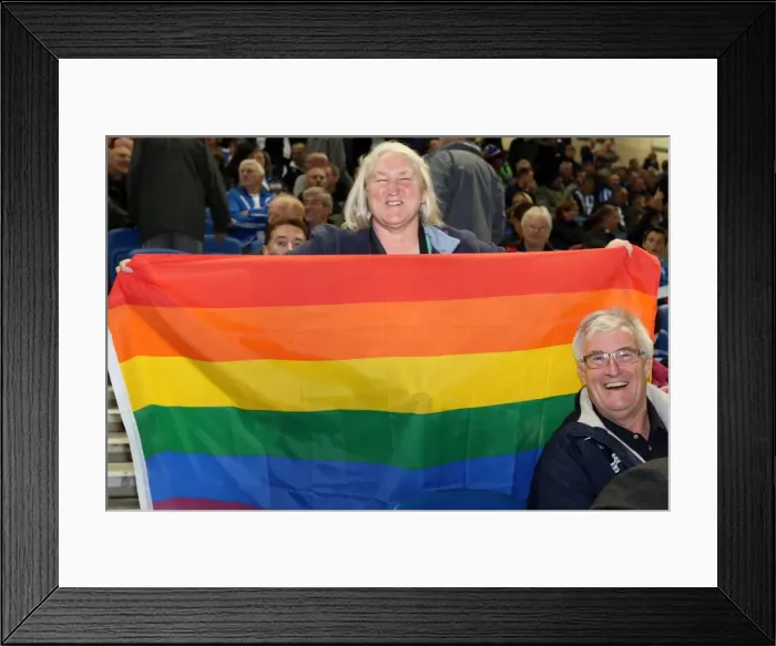 Framed Print : Brighton & Hove Albion vs. Sheffield Wednesday (2013-10-01) - Home Game, 2013-14 Season Framed Print : Brighton & Hove Albion vs. Sheffield Wednesday (2013-10-01) - Home Game, 2013-14 Season