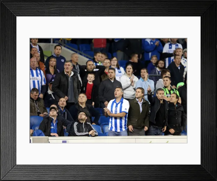 Framed Print : Brighton & Hove Albion vs. Sheffield Wednesday (1-10-2013) - 2013-14 Home Game Framed Print : Brighton & Hove Albion vs. Sheffield Wednesday (1-10-2013) - 2013-14 Home Game